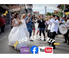 Trubački orkestar Zeljka Stamenkovica - Fotografija 3/4