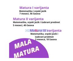 Mala matura