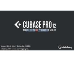 Steinberg Cubase Pro 12 + 13 studio paket - Fotografija 3/6