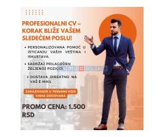 Profesionalni CV - radna biografija